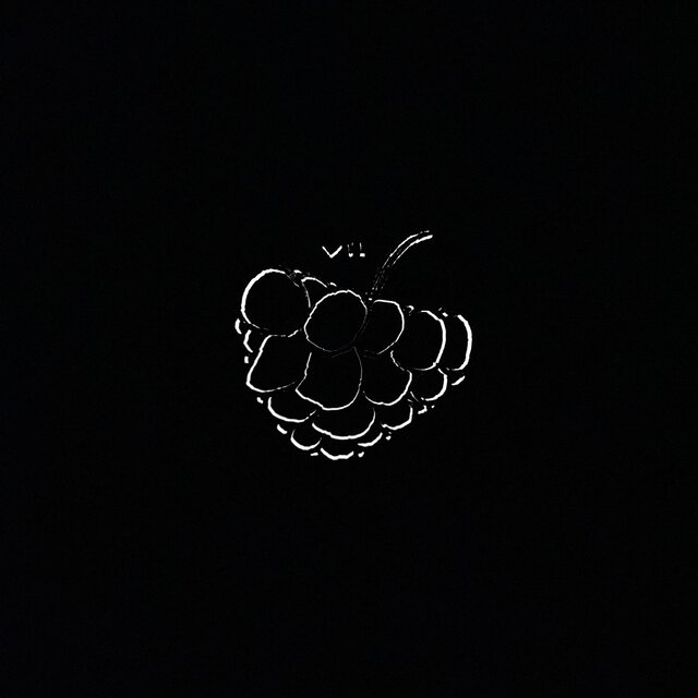 vii
