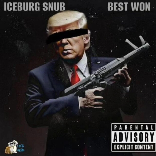 WEVOTING4TRUMP PRO BY BESTWON