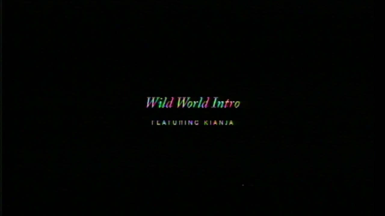 Wild World