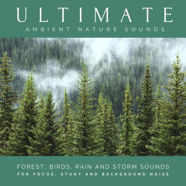 Ultimate Ambient Nature Sounds (Xxl Bundle) [Forest, Birds, Lake Shore, Mountain Stream, Rain and Storm Sounds for Focus, Study and Background Noise]