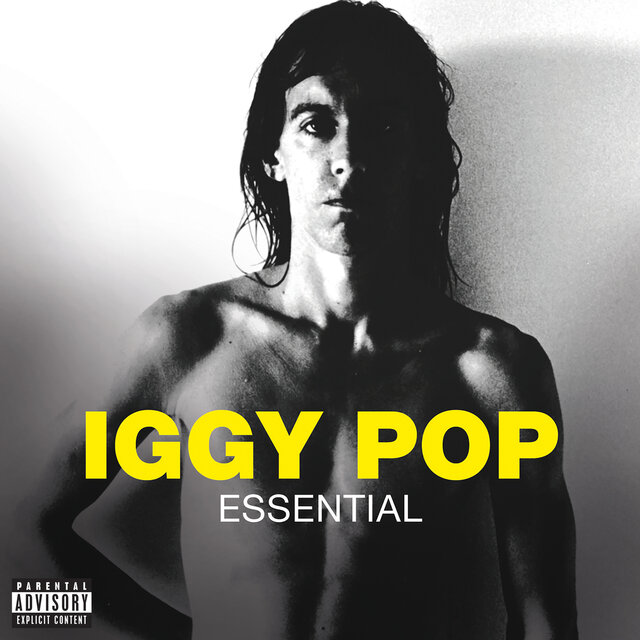 Essential by Iggy Pop on TIDAL