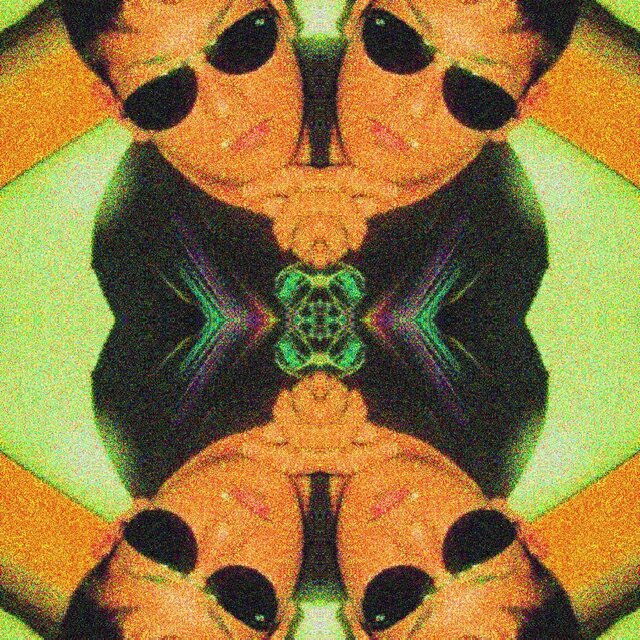 it's tribal time