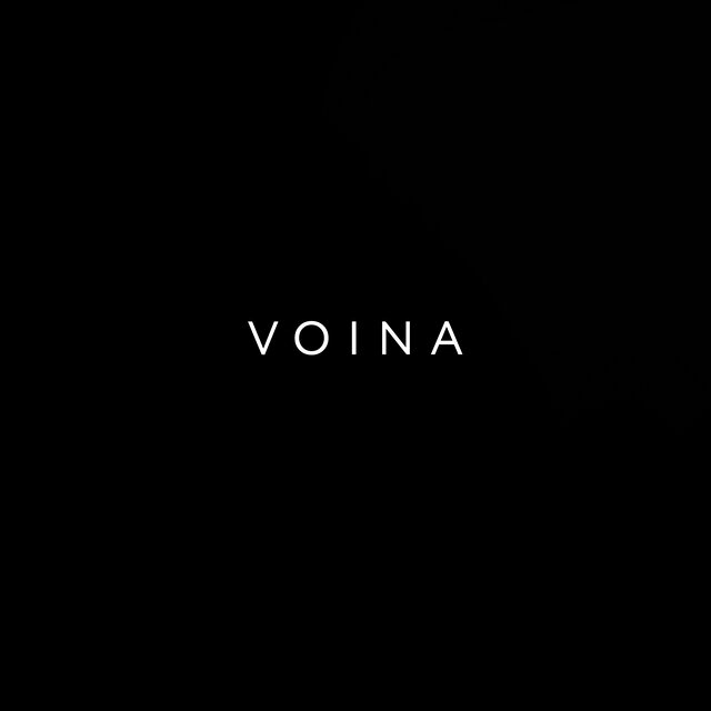 VOINA