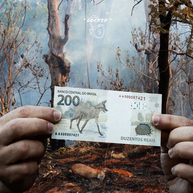 Sos Pantanal