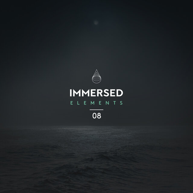 Immersed Elements 08