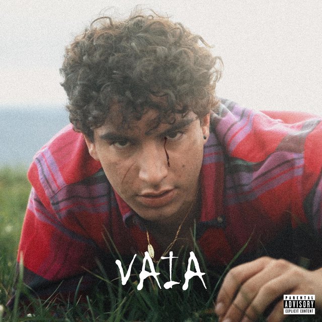 VAIA