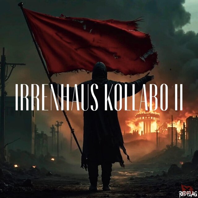 IRRENHAUS KOLLABO II