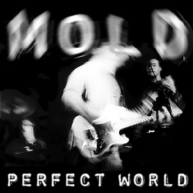 Perfect World