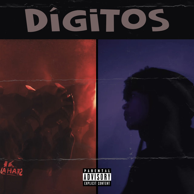 Dígitos