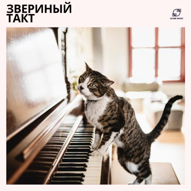 Звериный Такт