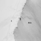 飞