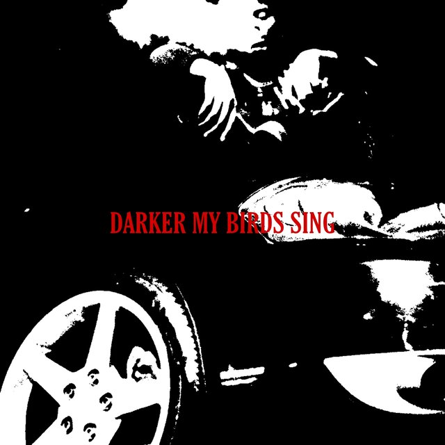 DARKER MY BIRDS SING