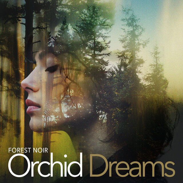 Orchid Dreams