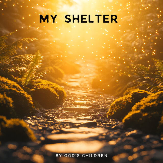 My Shelter