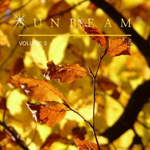Sunbeam, Vol. 3