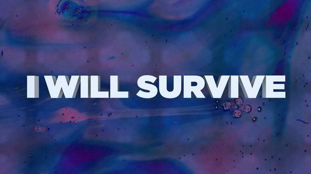 I Will Survive