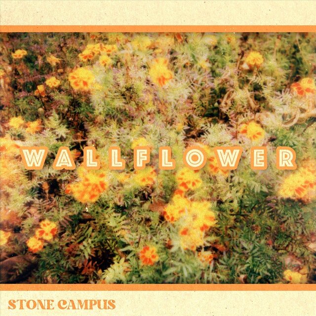 Wallflower