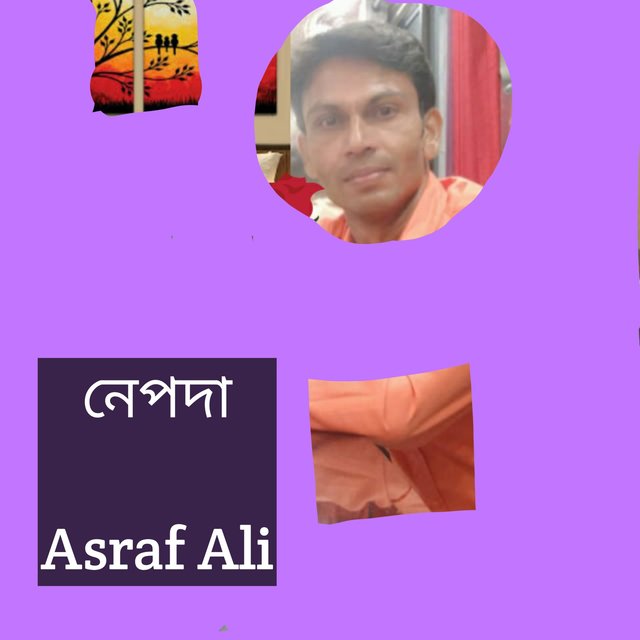 নেপদা