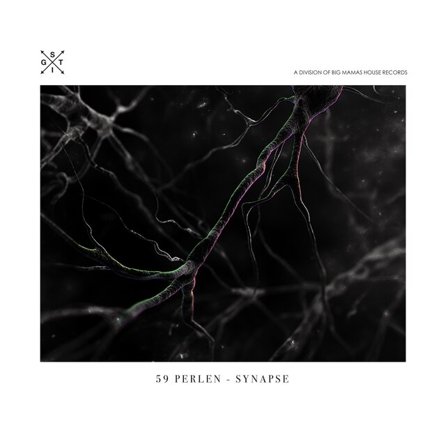 Synapse