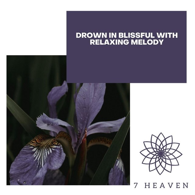 Drown In Blissful With Relaxing Melody