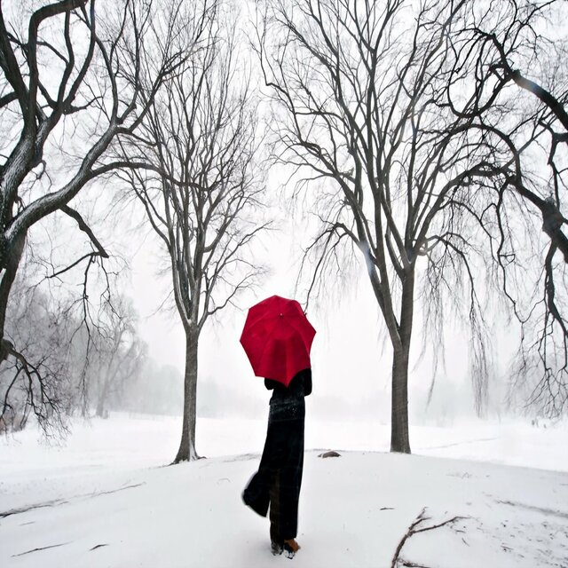 Snow Blind