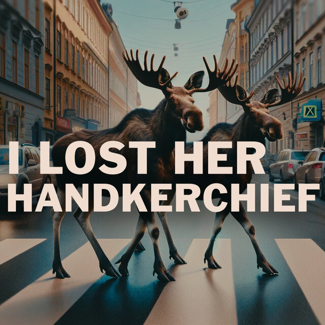 I Lost Her Handkerchief