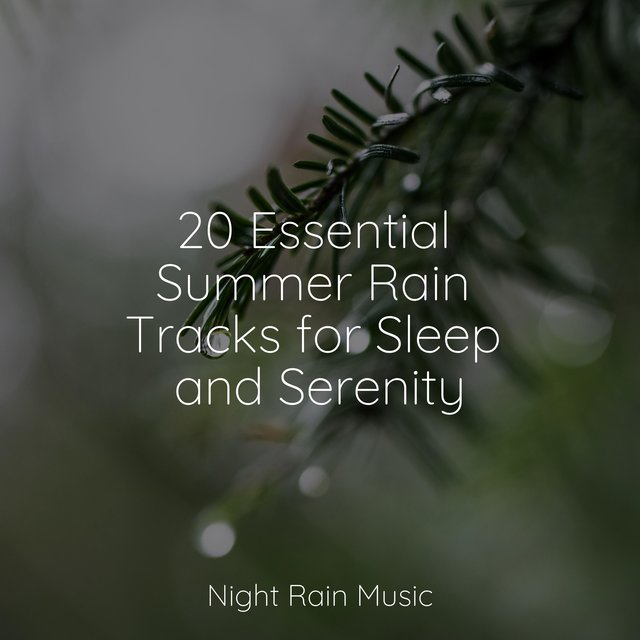 20 Essential Summer Rain Tracks for Sleep and Serenity