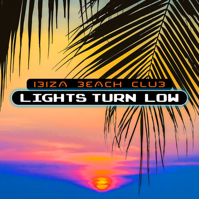 Lights Turn Low