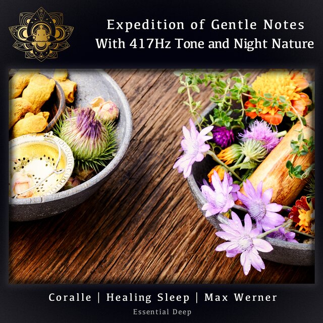 Expedition of Gentle Notes with 417Hz Tone and Night Nature