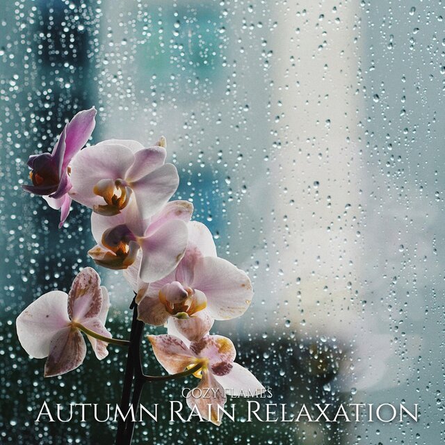 Autumn Rain Relaxation