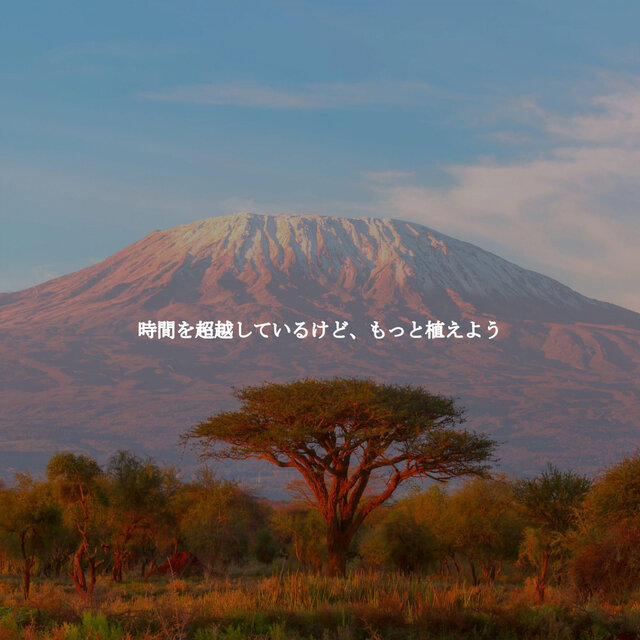 時間を超越しているけど、もっと植えよう