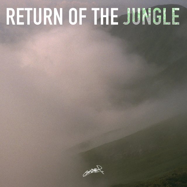 Return Of The Jungle
