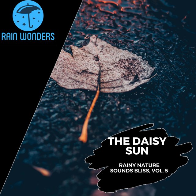 The Daisy Sun - Rainy Nature Sounds Bliss, Vol. 5