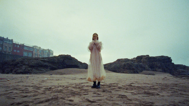 Desert Rose (Official Video)