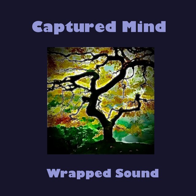 Wrapped Sound
