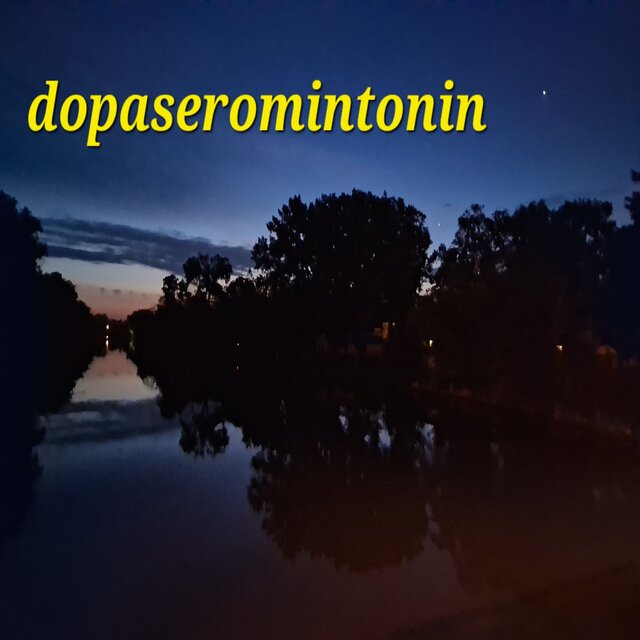 Dopaseromintonin (Live)