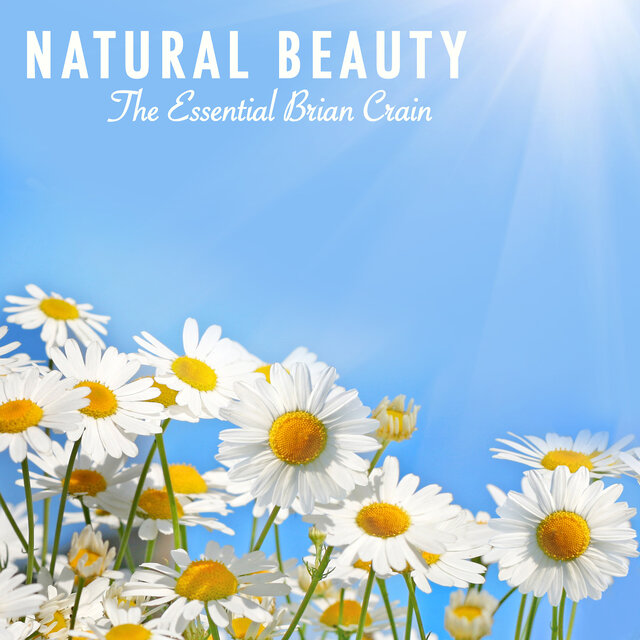 Natural Beauty - The Essential Brian Crain
