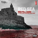 Red Sea