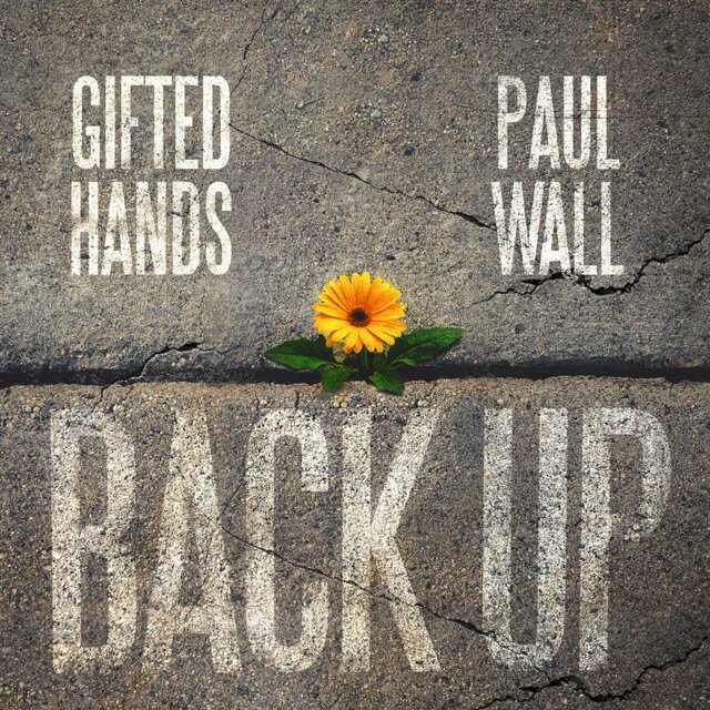 Back Up