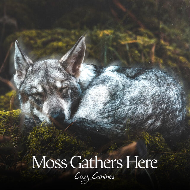 Cover art for album  by Cozy Canines