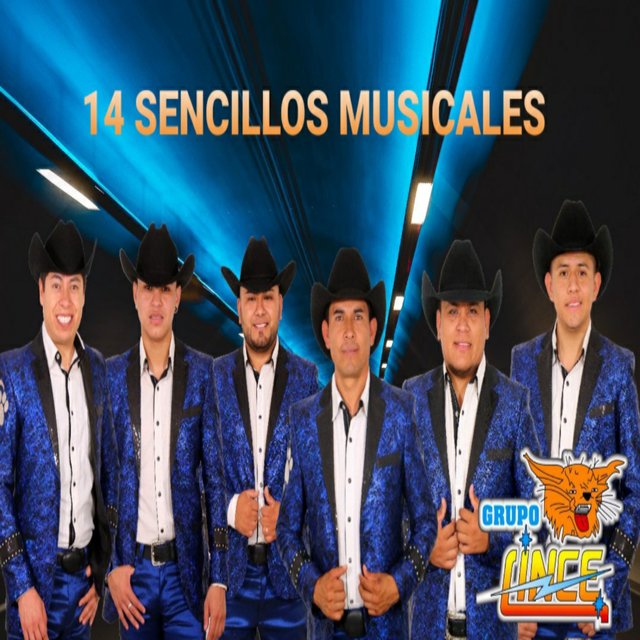 14 Sencillos Musicales