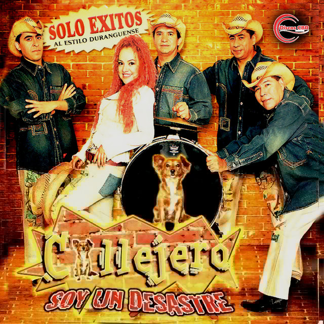 Soy un Desastre