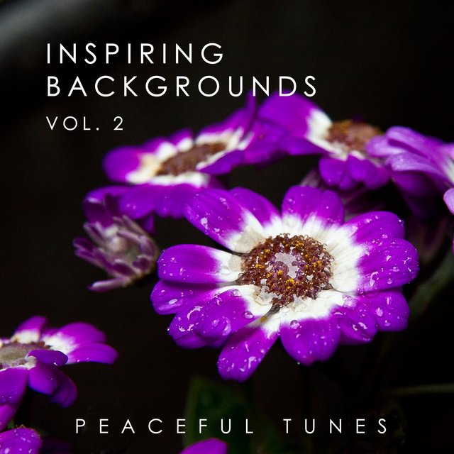 Inspiring Backgrounds, Vol. 2