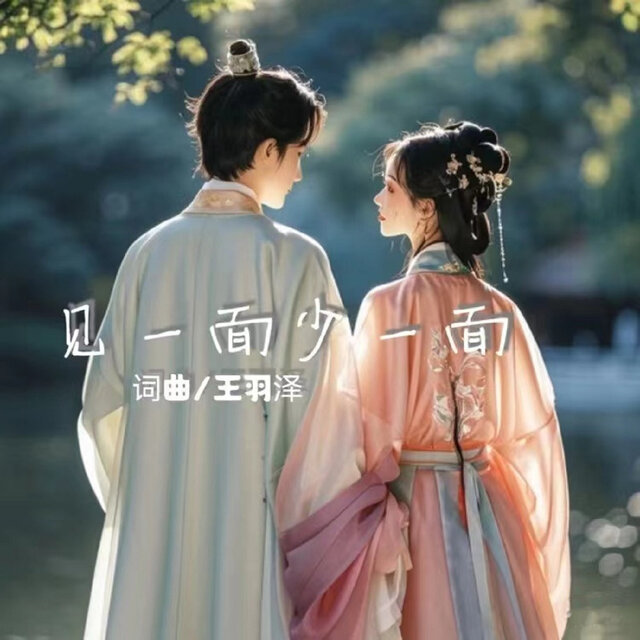 见一面少一面 (Dj加快版)