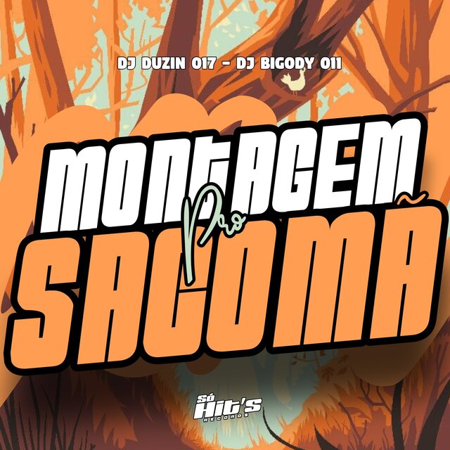 Montagem Pro Sacomâ