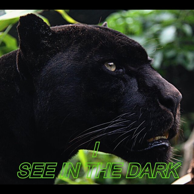 I See In The Dark