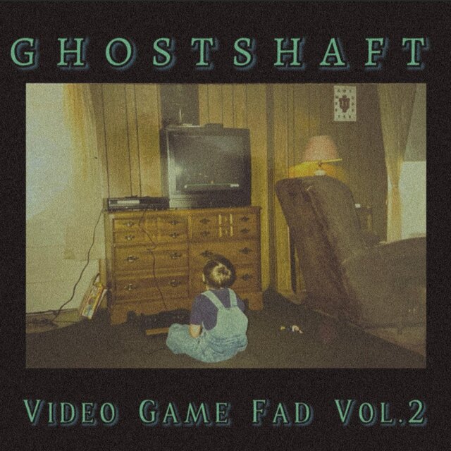 Video Game Fad, Vol. 2