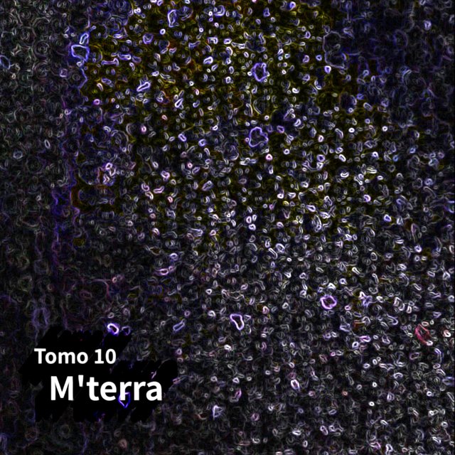 Tomo 10