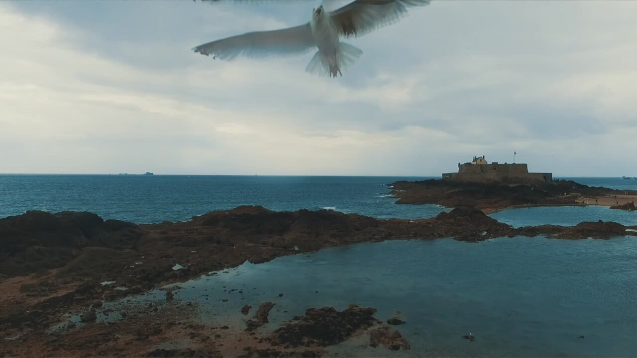 La nature