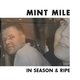 Cover art for album In Season & Ripe by Mint Mile